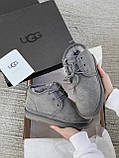 Жіночі черевики UGG Neumel Suede Boots Dark Fawn Gray 3236, фото 4