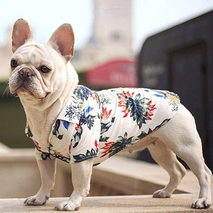 Сорочка для котів і собак, Одяг для тварин, фото 1