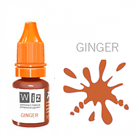 Візерарт Ginger 5 мл