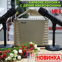 Портативна караоке колонка. Вбудований USB, Bluetooth, MP3. Час роботи 4 години. M18