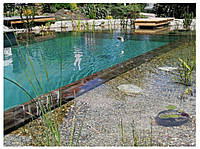 Натуральный бассейн с естественной очисткой воды.
