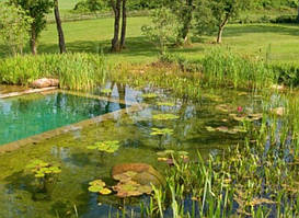 Біо - Басейн.