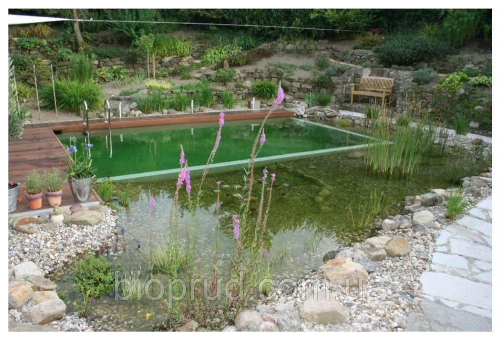 Натуральний басейн.