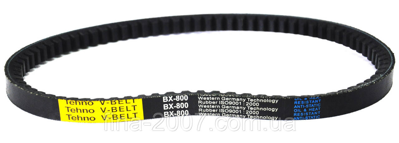 Ремінь В(Б)-800 зубчастий / BX-800