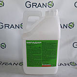 Гербіцид Міладар Укравіт 5 л, фото 2