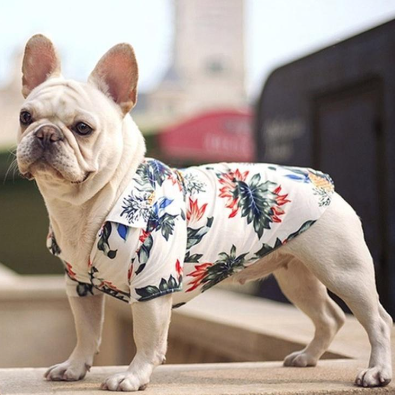 Сорочка для котів і собак, Одяг для тварин, фото 1