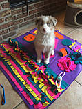 Килимок для собаки, обнюхування знайти їжу тренувальне ковдру, фото 2
