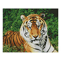 Алмазная мозаика Strateg Взгляд тигра (40х50 см) FA10046