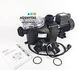 Насос для басейну Pentair Water FreeFlo-071 (9 м³/год), фото 3