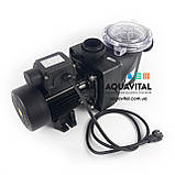 Насос для басейну Pentair Water FreeFlo-071 (9 м³/год), фото 6