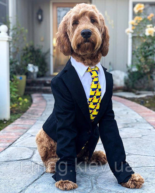 Качина краватка з качками Барні Як я зустрів вашу мати Качина краватка з качками Барні Як я зустрів вашу мати