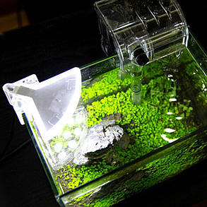 Світильник AQUAXER LED 5B-M3, 5 Вт. Світлодіодний світильник з вимикачем для міні і нано акваріумів, фото 3