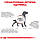 Royal Canin Gastro Intestinal Low Fat сухий лікувальний корм для собак при порушенні травлення, 12КГ, фото 6