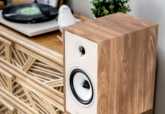 Активная акустическая система Triangle Borea Active BR03 BT