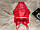 Комплект нижньої білизни AngGee 5318 червоний, фото 10