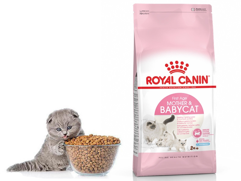 Harga royal canin mother and baby cat sales