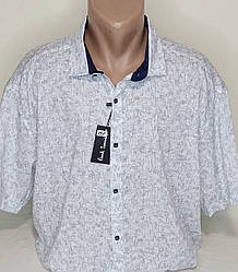 Чоловіча батальна теніска Paul Smith vk-0131 біла в принт Туреччина, чоловіча сорочка з коротким рукавом 8XL