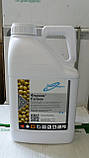 Інсектицид Фараон для сої та кукурудзи (хлорпірифос, 480 г/л, лямбда–цигалотрин, 7,5 г/л), фото 2