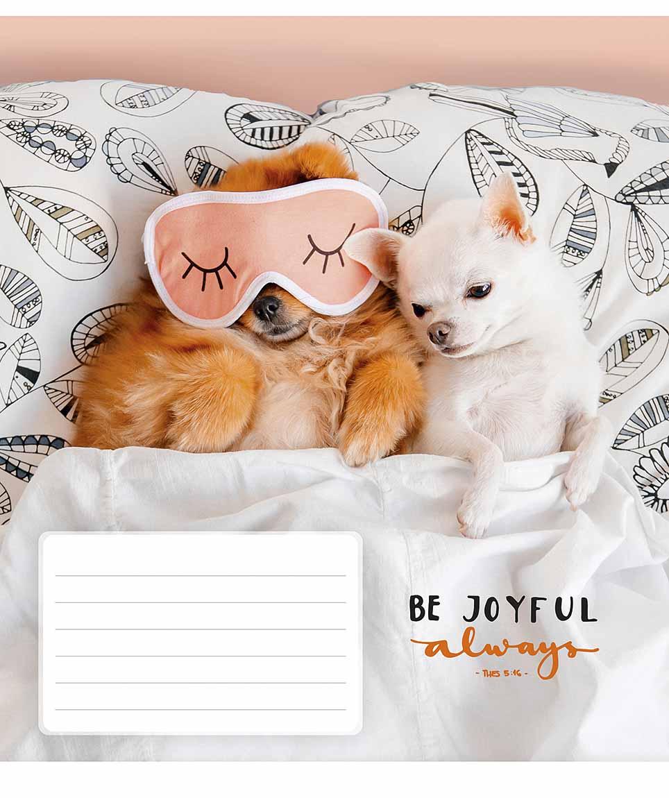 Зошит 12арк. лін. Школярик "Be joyful always" ВД-лак №012-3263L(30)(300), фото 1