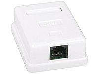 Розетка RJ45 зовнішня WRJ45/1 cat. 5e