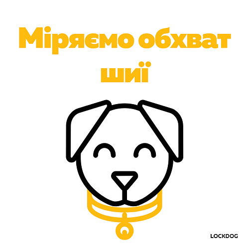 Як поміряти обхват шиї собаки