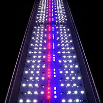 Світильник Ptero Ray WRB 60-80, 64 Вт. Світильник для відкритих акваріумів, фото 4