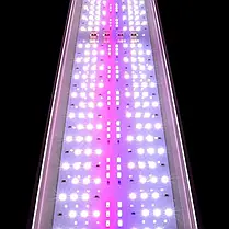 Світильник Ptero Ray WRB 60-80, 64 Вт. Світильник для відкритих акваріумів, фото 2