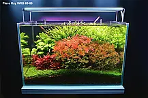 Світильник Ptero Ray WRB 60-80, 64 Вт. Світильник для відкритих акваріумів, фото 5