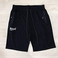 Шорти чоловічі оптом, Egret, 2XL-6XL рр., № M12521, фото 3