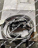 Провід 436830003 кабель DjRVS II "Y" CABLE DICKEY-john 4368-30003, фото 2