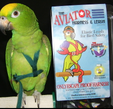 Шлея для середніх папуг (Жако Амазон) AVIATOR MEDIUM (оригінал) + DVD