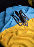 Набір для встановлення прапору у формі герба, навершя на прапор і тримач, чорний патина, фото 3
