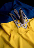 Тримач у формі герба фасадний для одного прапора вуличний із сталі, чорний, фото 4