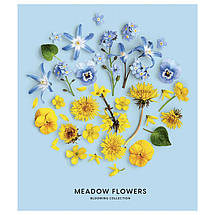 Зошит 60 арк. клітинка, ОБК. УФ-ЛАК "Школярик" / Meadow Flowers, фото 3