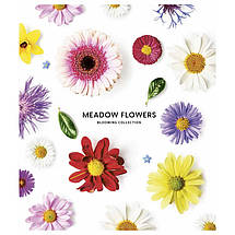 Зошит 60 арк. клітинка, ОБК. УФ-ЛАК "Школярик" / Meadow Flowers, фото 5