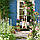 Садова альтанка тримач для квітів арка 240 x 140 см, фото 9