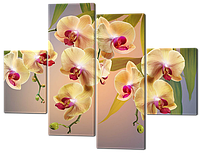 Модульная картина Красивые Орхидеи