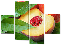 Сегментна картина фрукти Персик (Кухня)