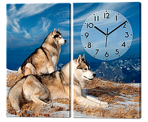 Модульна картина з годинником Сибірські лайки ( хаскі ) 82*70 см