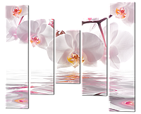 Модульная картина из пяти частей Орхидеи