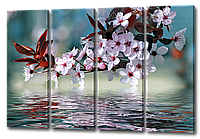 Модульная картина ветка сакуры и отражение