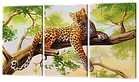 Модульная картина Леопард на ветке