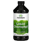 Рідкий хлорофіл (Liquid Chlorophyll) 100 мг