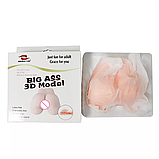 Мастурбатор Big Ass 3D model, фото 8