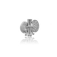 Брошь-значок BROCHE Почки серебристая BRGV111825 IX, код: 7280507