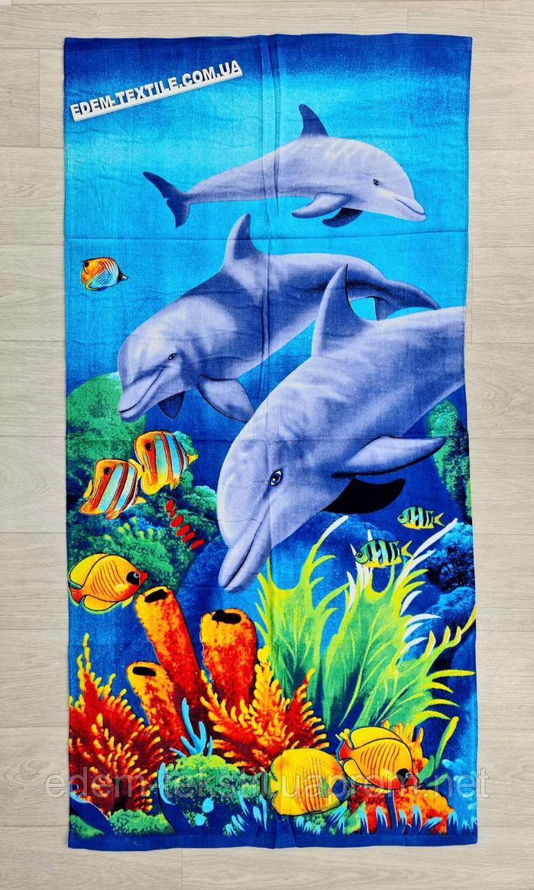 Рушник для пляжу Дельфіни Підводний світ