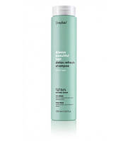 Шампунь для волосся очищующий Erayba ABH Detox Refresh Shampoo , 250 мл