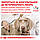 Royal Canin Recovery вологий лікувальний корм для собак та кішок для відновлення після хвороби, 195ГРх12ШТ, фото 5