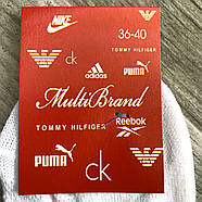 Шкарпетки жіночі бавовна сітка Puma Multi Brand, розмір 36-40, асорті, 04755, фото 4