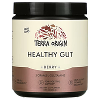 Terra Origin, Healthy Gut, для нормализации пищеварения, вкус ягод, 243 г